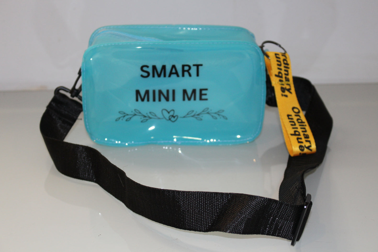 Transparent Mini Shoulder Messenger Bag