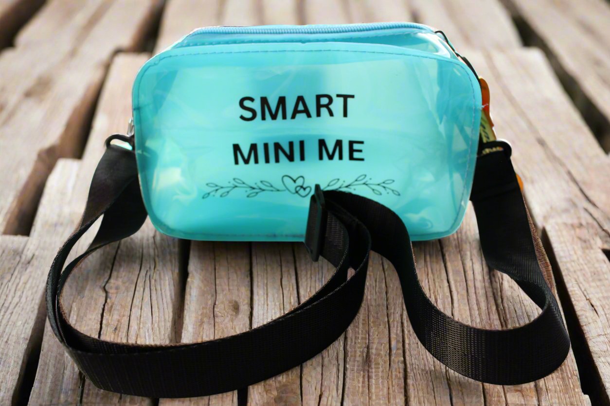 Transparent Mini Shoulder Messenger Bag