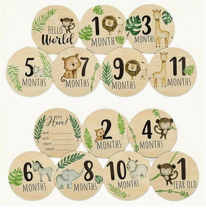 Baby Month Wooden Milestone Cards