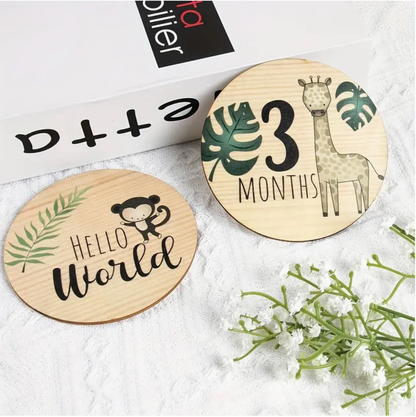 Baby Month Wooden Milestone Cards